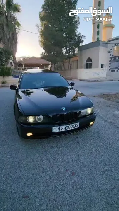 BMW E39 الدب