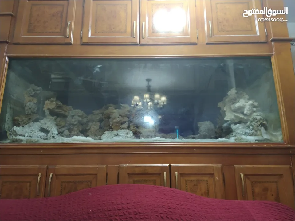 حوض سمك بحري حجم ضخم جدا جدا 240X100x100 إرتفاع الحوض مع البوفيه 270 مع كامل اجهزتو