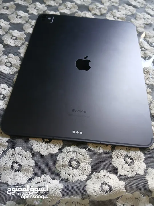 ipad pro m4 13 inch