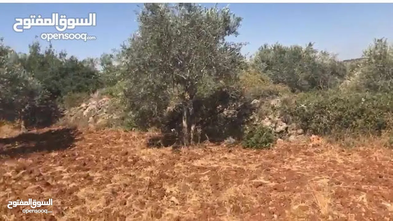 تملّك أرض مميزة