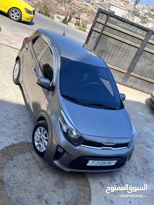 كيا بيكانتو مورنينق 2019