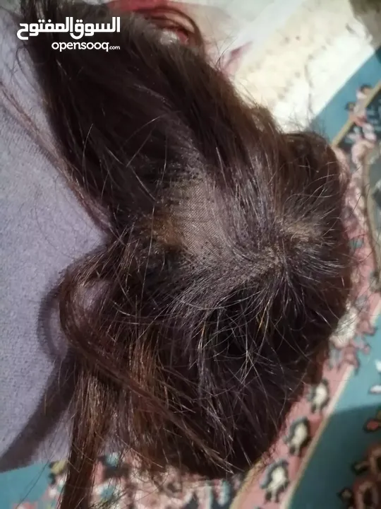 مقدمة شعر  طبيعي ميه بالميه