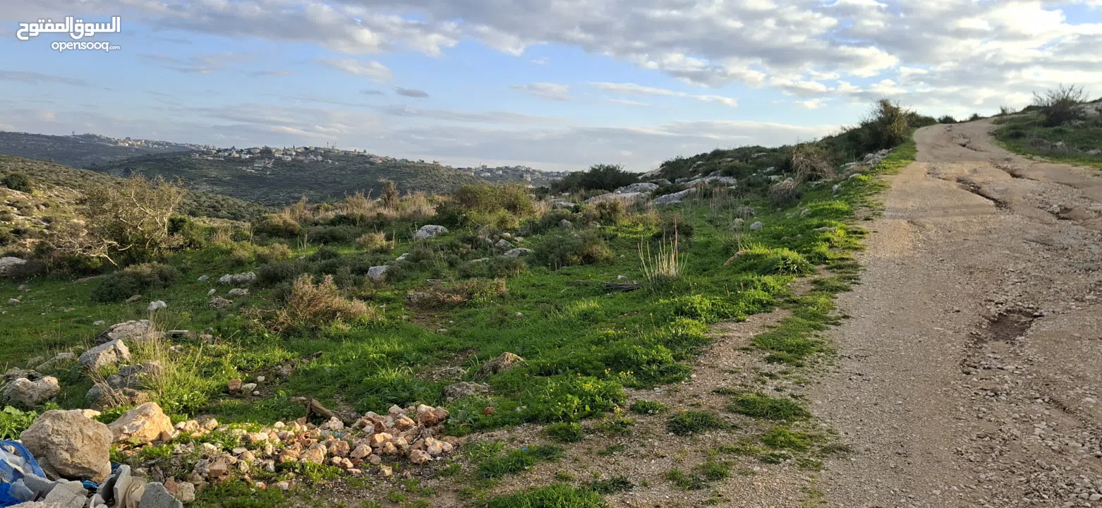 دونم ارض طابوا فلسطيني منطقة (B)بالقرب من دوار كفرصور جميع الخدمات فيها عليها شارع 12متر موقع مميز