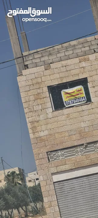 شقة مستقلة للإيجار