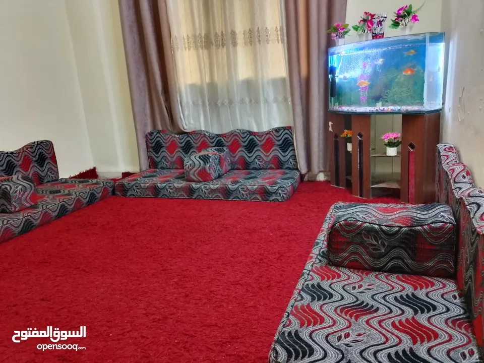 قعده عربيه نضيفه ماشالله في الهاشمي الشمالي35