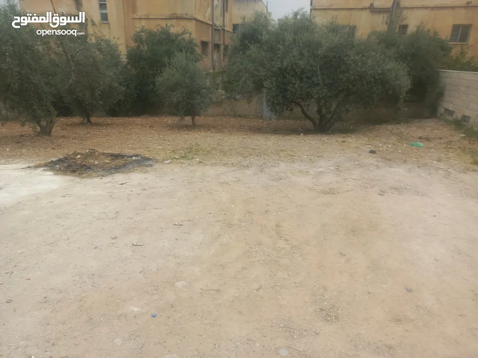 قطعت ارض 220