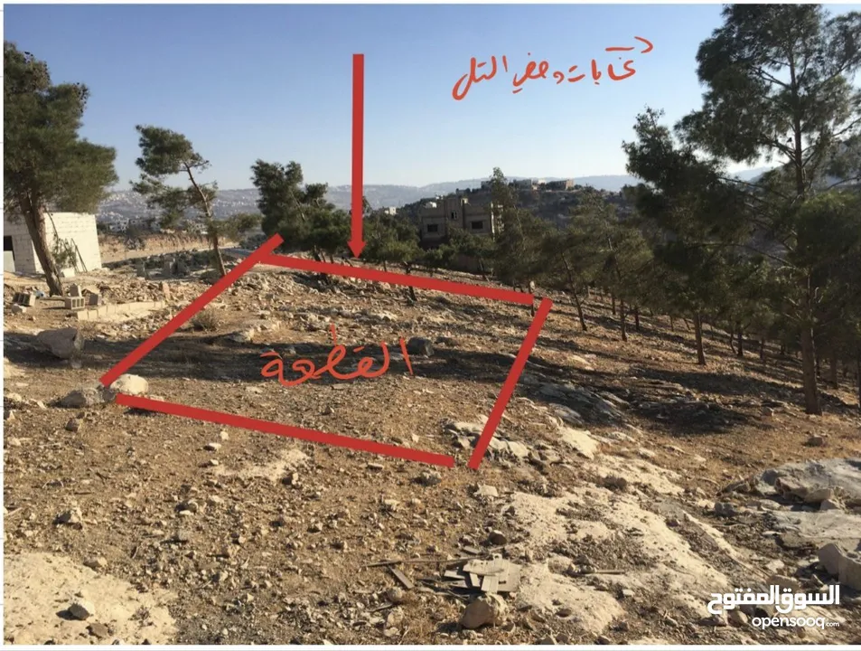 ارض للبيع  عمان شارع الاردن تقاطع شارع الاردن مع شارع عمان-جرش  الرئيسي ملاصقه لغابات وصفي التل