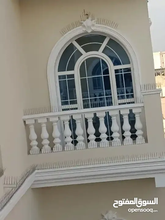 طارد الحمام والطيور