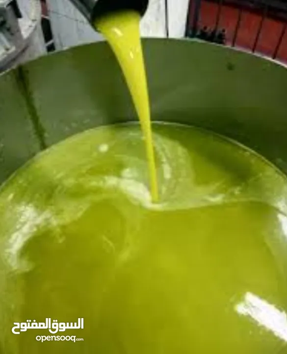 زيت زيتون بني نعيم