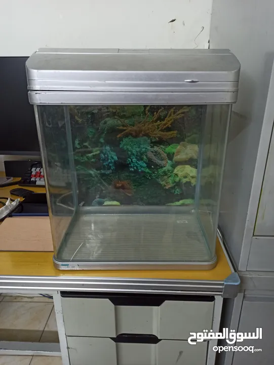 fish tank for sale