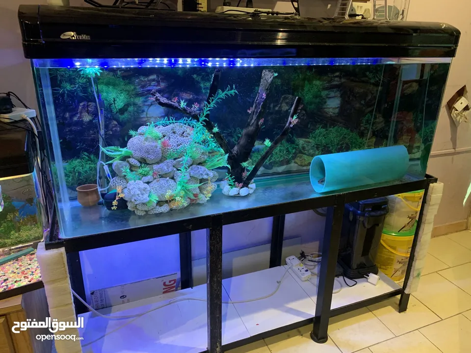 Aquarium for sale