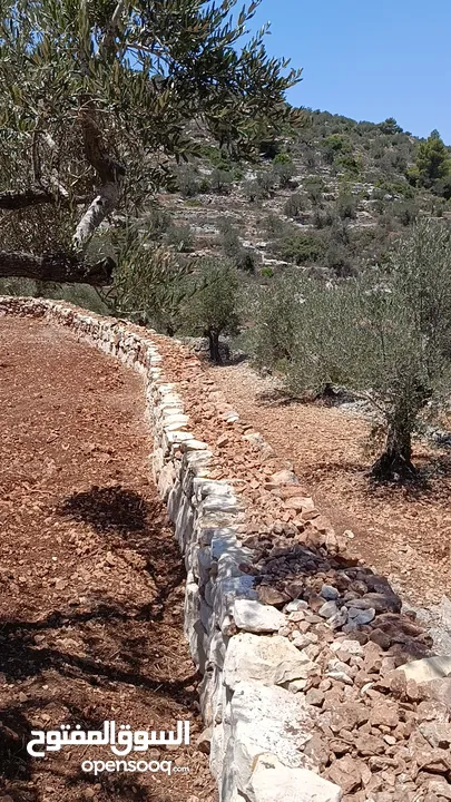 عمارة اراضي وبناء السناسل