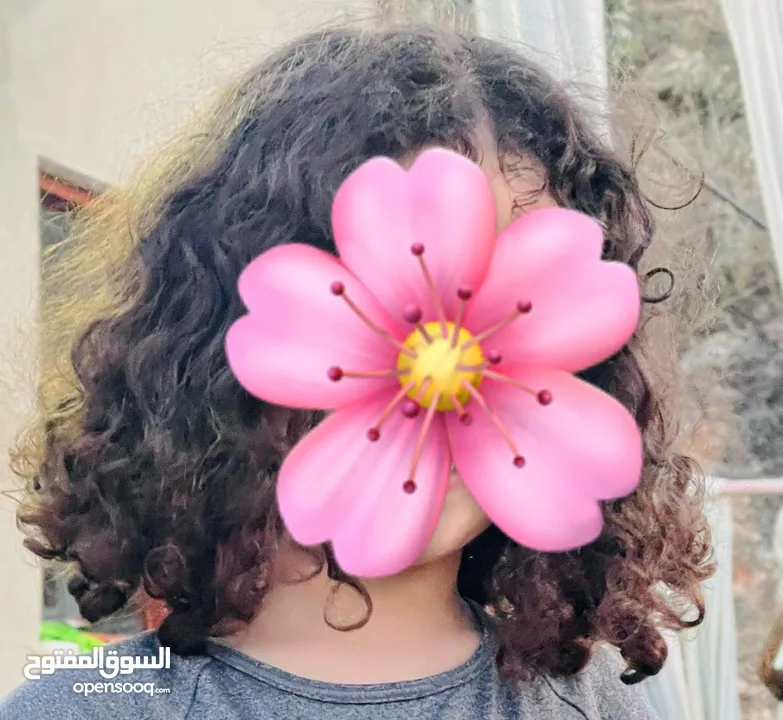 كريم تمليس من كنفوشي