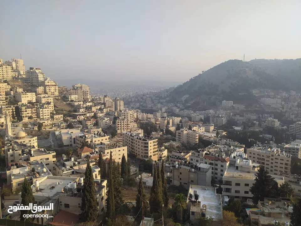 شقه مشطبه 30% ( مقصوره )