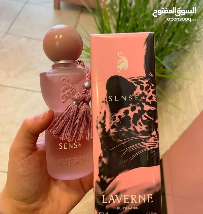 عطر جورجينيا الجديد