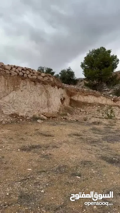 قطعة ارض في مدينة جرش (( البركتين )) مقابل مخبز الخبازون، على شارعين، للبيع من المالك مباشرة..