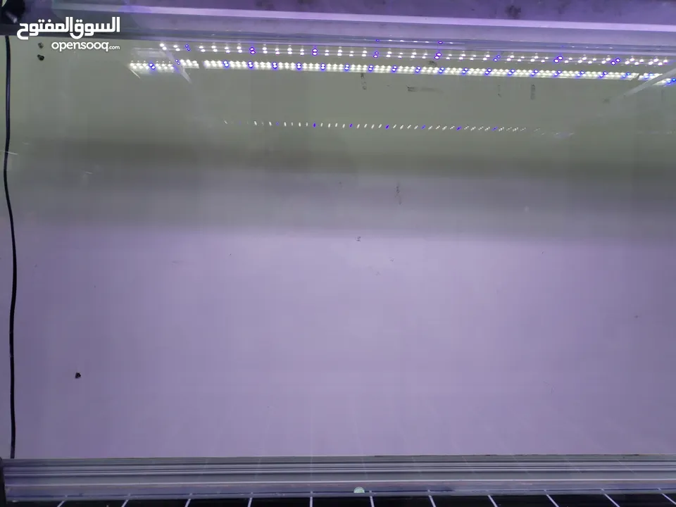 حوض أجنبي متر ونص
