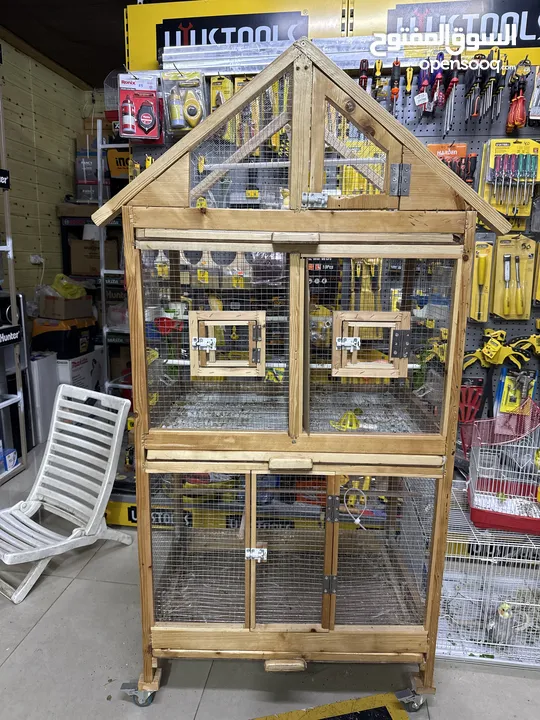 عصافير كنار وكوكتيل