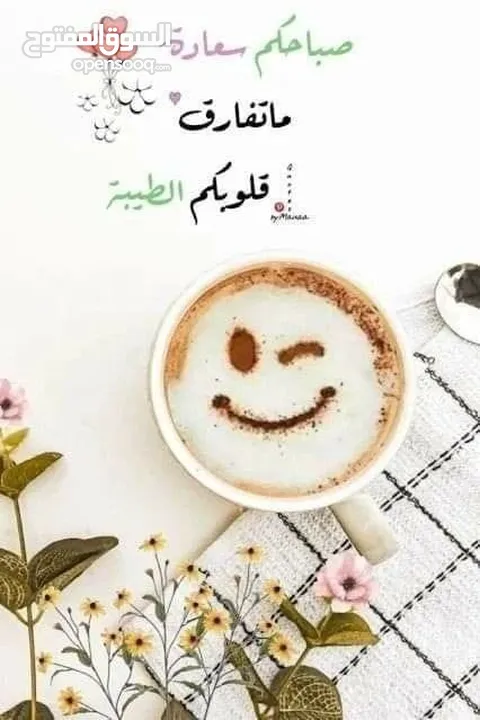 مطلوب للشراء ديوك بلدي ومصري عمر فوق الست شهور نشتري مهما كانت الكمية على دينارين للحبة