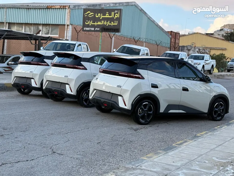 بس واي دي سيجول 305k 2023