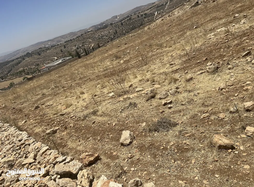 من أجمل إطلالات نادره منطقة مزارع