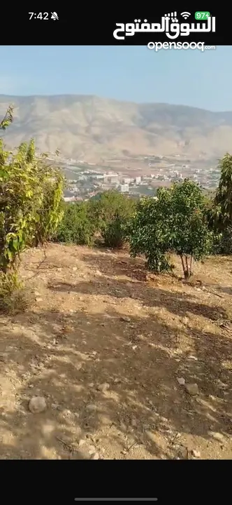 أرض زراعية او سكنية للبيع 2 دونم و 580 متر