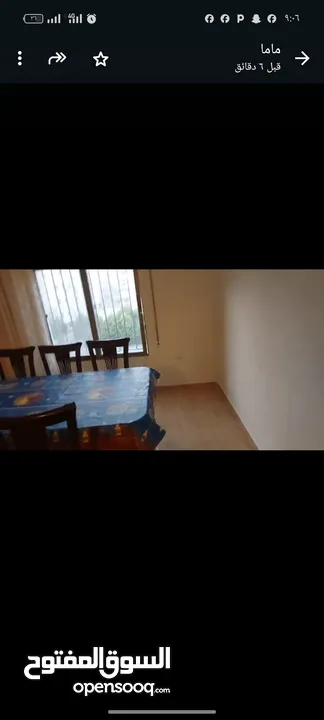 شقه مفروشه للايجار