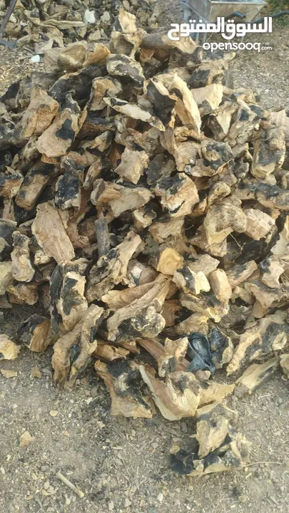 حطب زيتون يابس لمطاعم الزرب