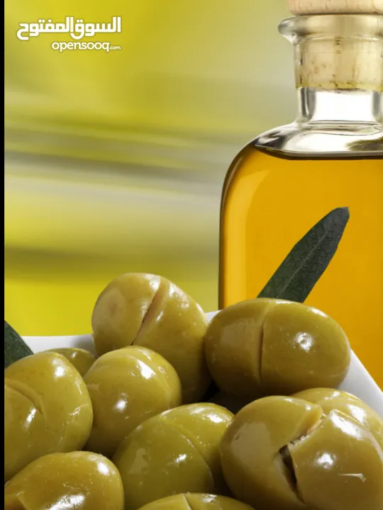 Supply and sale of olives, olives, Gilan Rudbar Olive Oil تزويد زيت الزيتون وزيت الزيتون في شمال إير