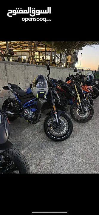 Cf moto 300nk 2023