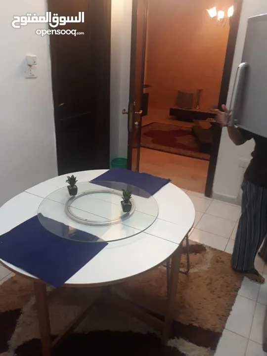 Fully Furnished Villa for rent