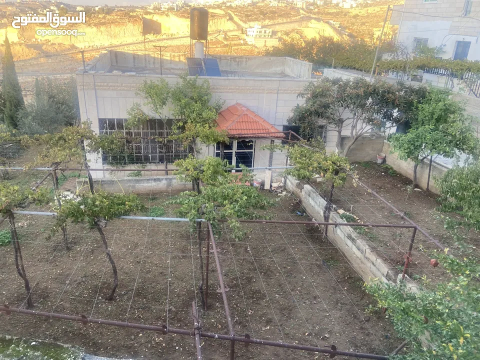 ارض مع بناء قائم