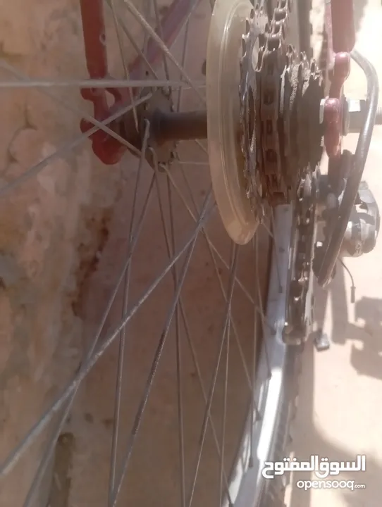 بسكليت. TREK