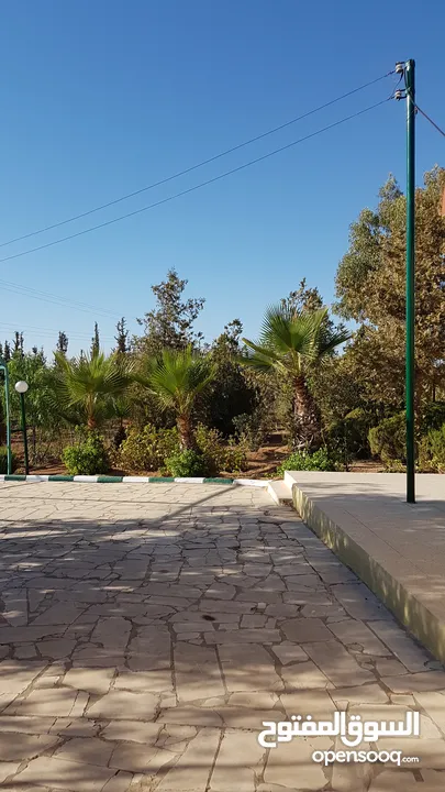 مزرعة للبيع ، بها بيت