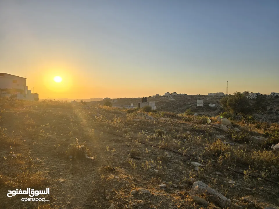 اطلاله ابديه ع الغرب 700 متر ابو شخيدم