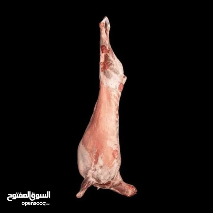 ذبح اضاحي بالمنزل