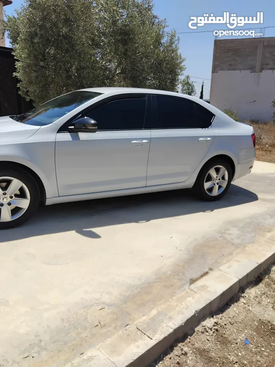 سكودا اوكتافيا2019