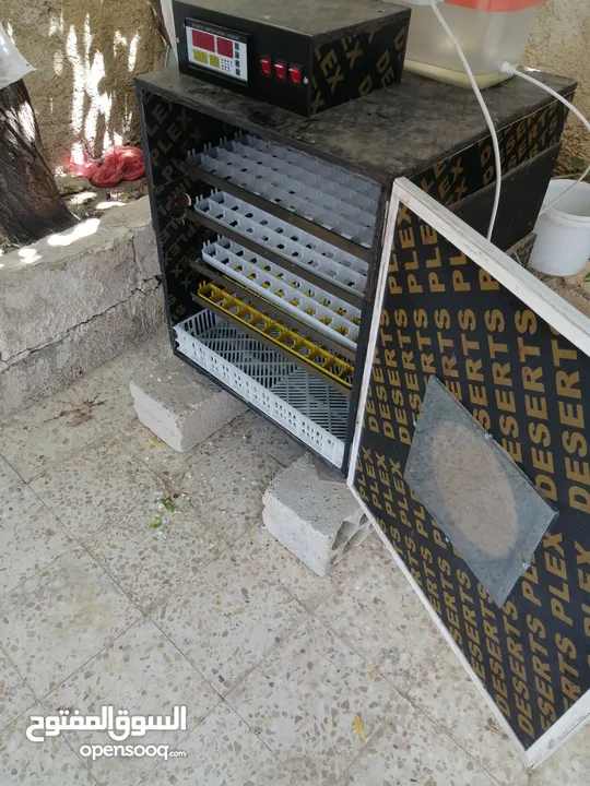 فقاسه للبيع 352 بيضه