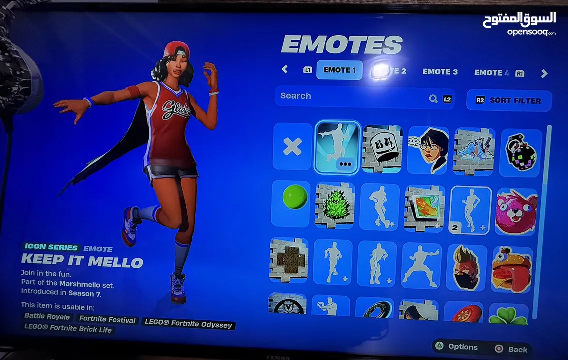 حساب بلايستيشن نادر جدًا فورتنايت و GTA للبيع بسعر مغري