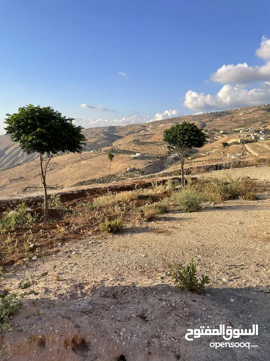 مزرعة في مغاريب السلط من المالك مباشرة