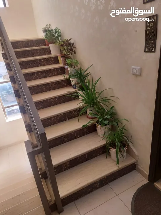 شقه / للبيع //جبل الزهور