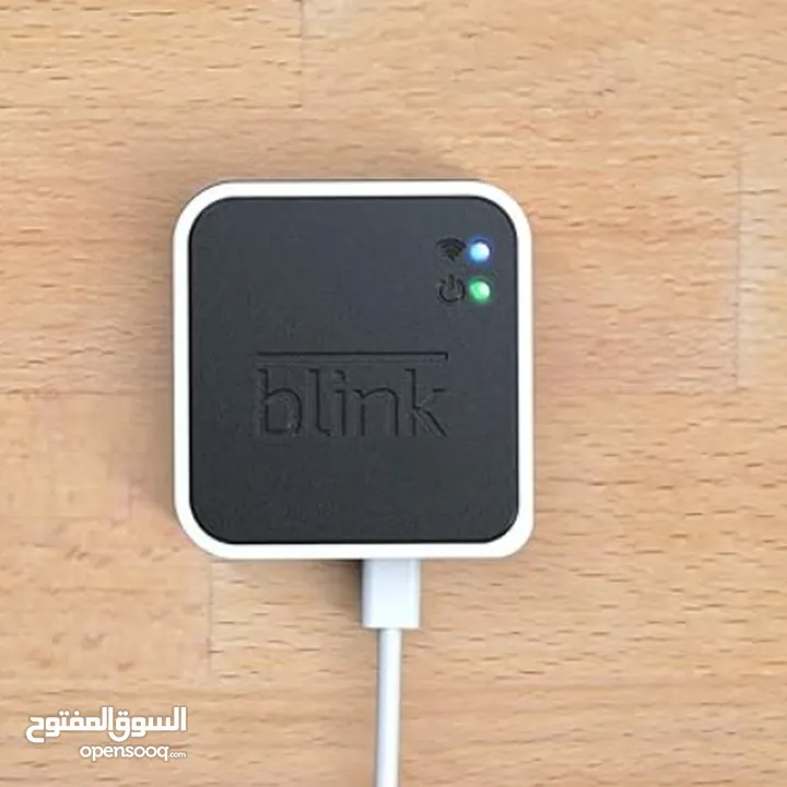 Blink sync module 2