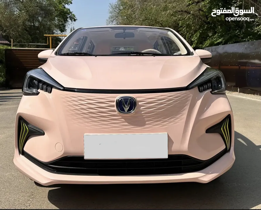 شانجان اي ستار 2022 فل لون زهري