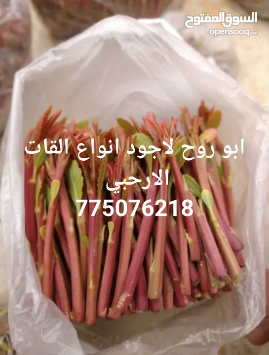 مطلوب دولاب خشب مستخدم