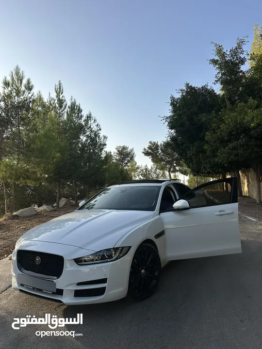 جاغوار xe 2019