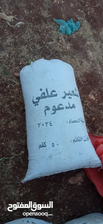 تبن أحمر بيقا البيع