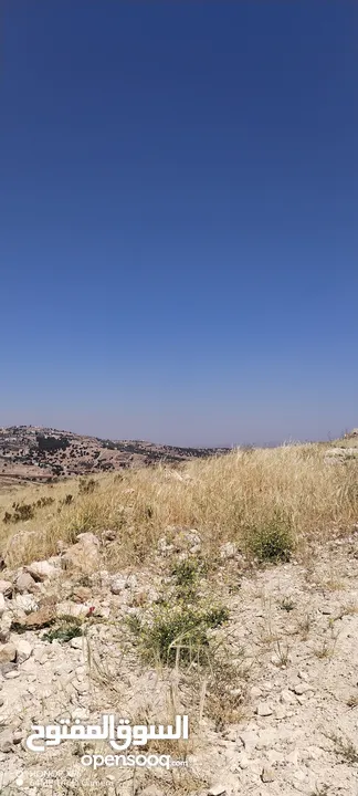 1175 م حوض الجيعة أرضي السلط منطقة فلل و قصور مرتفعة وكاشفة