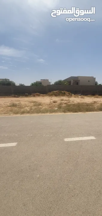 أرض سكنية طرابلس في منطقة السراج طريق المواشي في خلة الفاندي  بعد جامع الصحابة ومدرسة المعرفة