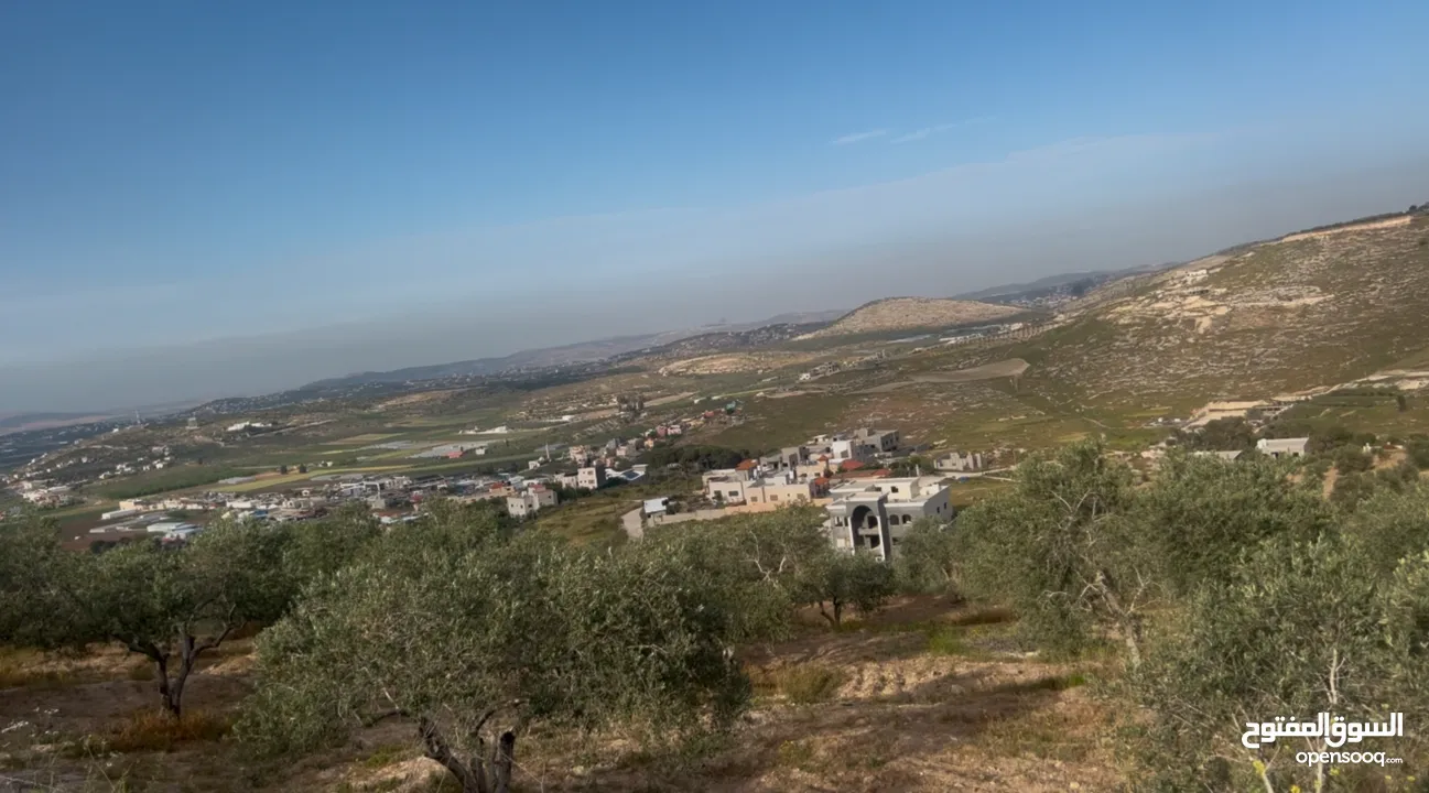 ارض تصلح للتنمير وفيها مربح ممتاز
