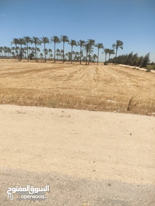 مزرعه للبيع على طريق صحراوي مصر اسكندريه يوجد فيها جميع الكماليات وجه على الطريق 900 متر صحراوي مصر